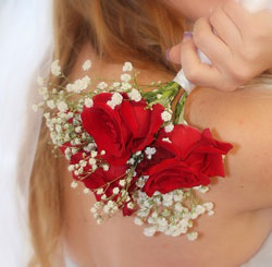 【软件使用教程】图文详解的网站ddos